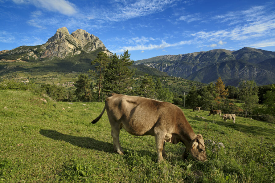 La Volta al Pedraforca amb BTT – Pedraforca 360